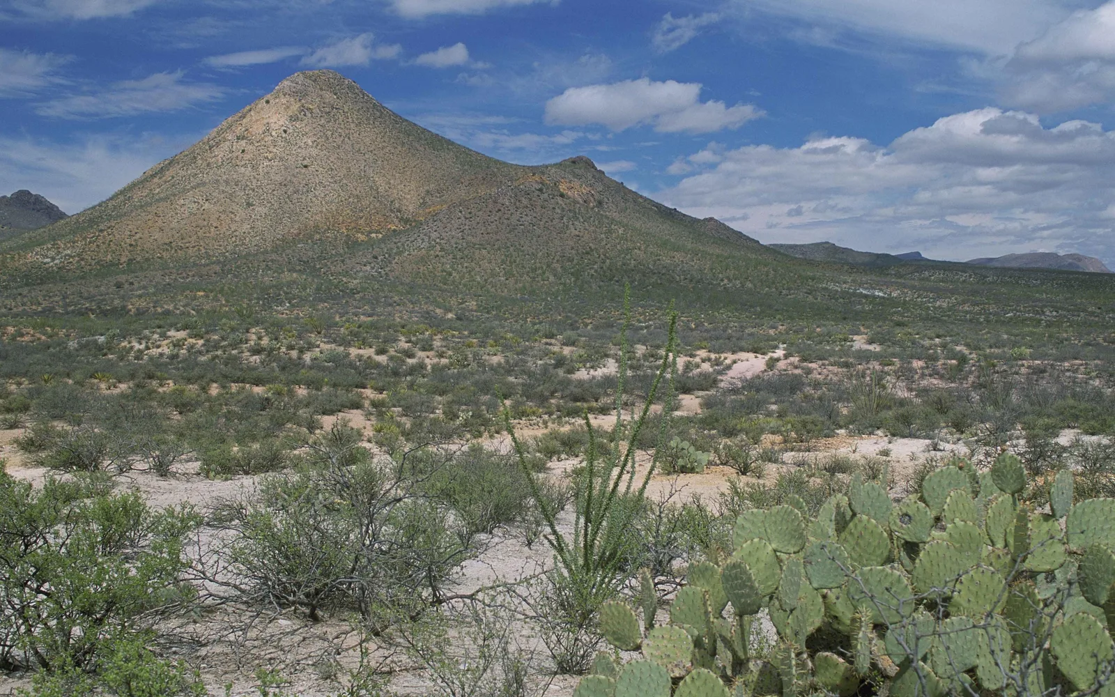 Scenic landscape view of natural terrain from San Bernardino National Park showing mountains and vegetation